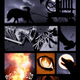 Illustration for article titled Read the First Issue of the Fantastic Animal Apocalypse Comic Legend, Here For Free